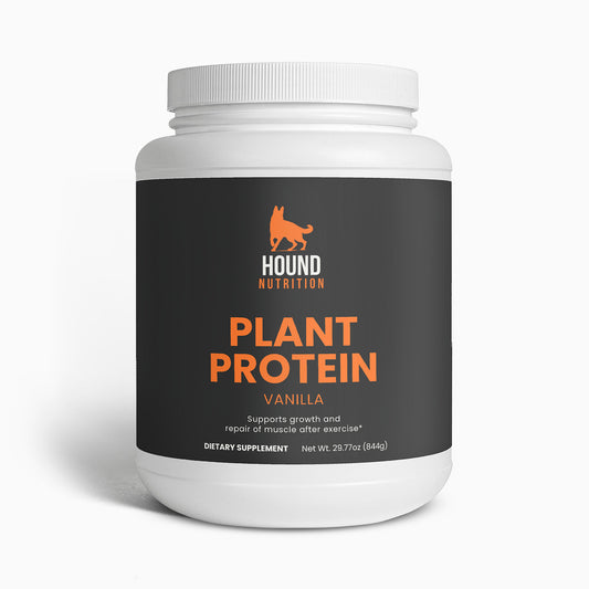 Plant Protein (Vanilla)